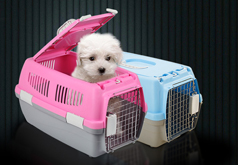 冷藏車(chē)廠(chǎng)房圖